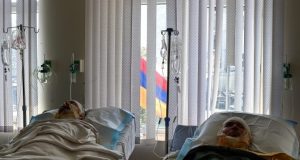 La heroica labor de Amadea y cirujanos en Acción