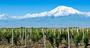 Vinos de Armenia: entre los más interesantes del mundo